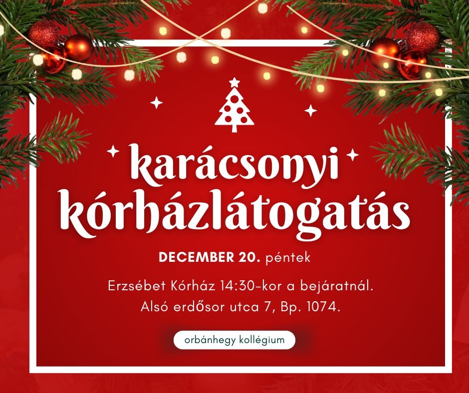 Karácsonyi Kórházlátogatás – jótékonysági program
